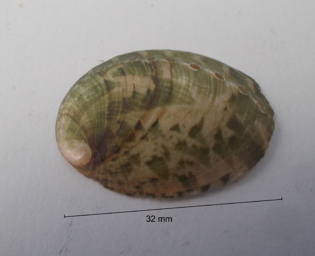 da identificare